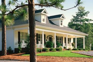 pine-tree-in-front-of-house_3x2_350f2cf78e792a1975212fd15949754f_jpg_300x200_q85