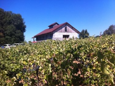 Amador_Cellars_3_203271