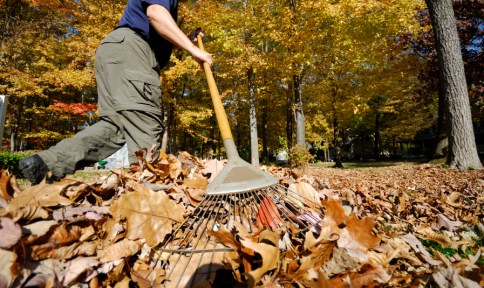 raking_leaves_photo_for_website