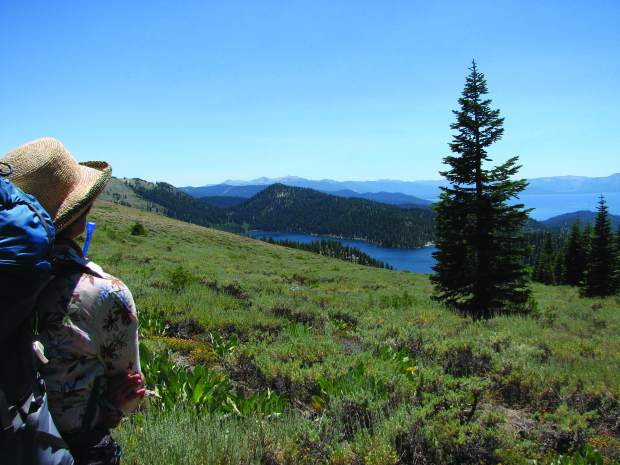 dt.common.streams.StreamServer.cls