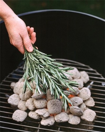 herbs-bbq-coals