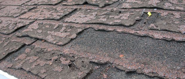 "Failure of asphalt shingles allowing roof leakage" by DMahalko, Dale Mahalko, Gilman, WI, USA -- Email: dmahalko@gmail.com - Own work. Licensed under CC BY-SA 3.0 via Commons - https://commons.wikimedia.org/wiki/File:Failure_of_asphalt_shingles_allowing_roof_leakage.JPG#/media/File:Failure_of_asphalt_shingles_allowing_roof_leakage.JPG