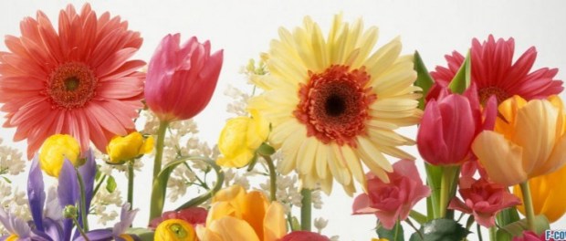 summer-flowers-mix-facebook-cover-timeline-banner-for-fb