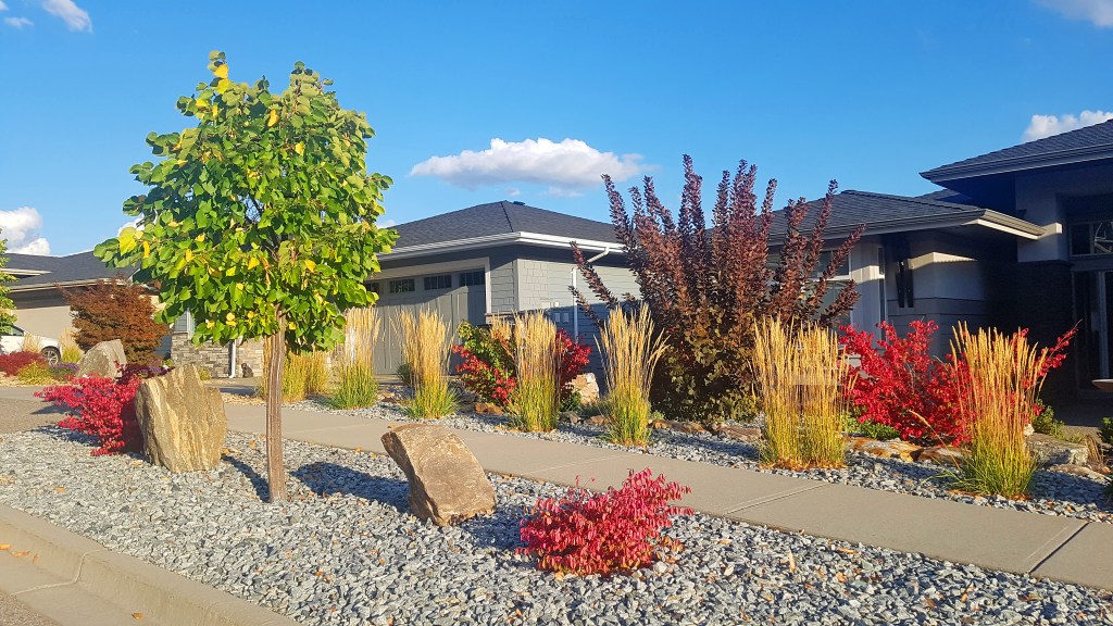 Partial view of homes and garages  with front yard,street and sidewalk landscaping in Autumn.  Karl forester grass, Barbaris shrub, and Burning Bush. Rocks and stones used in design.